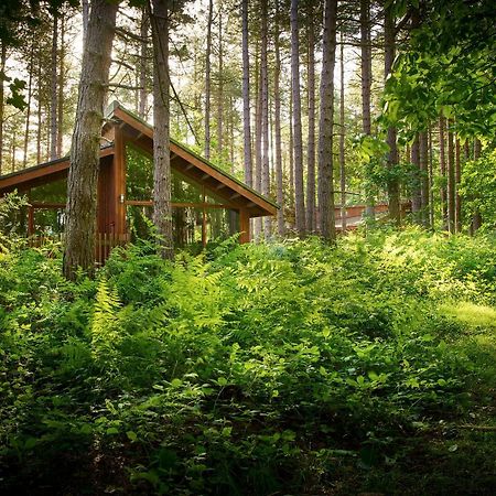 Blackwood Forest Cabins - Forest Holidays Popham Exteriör bild