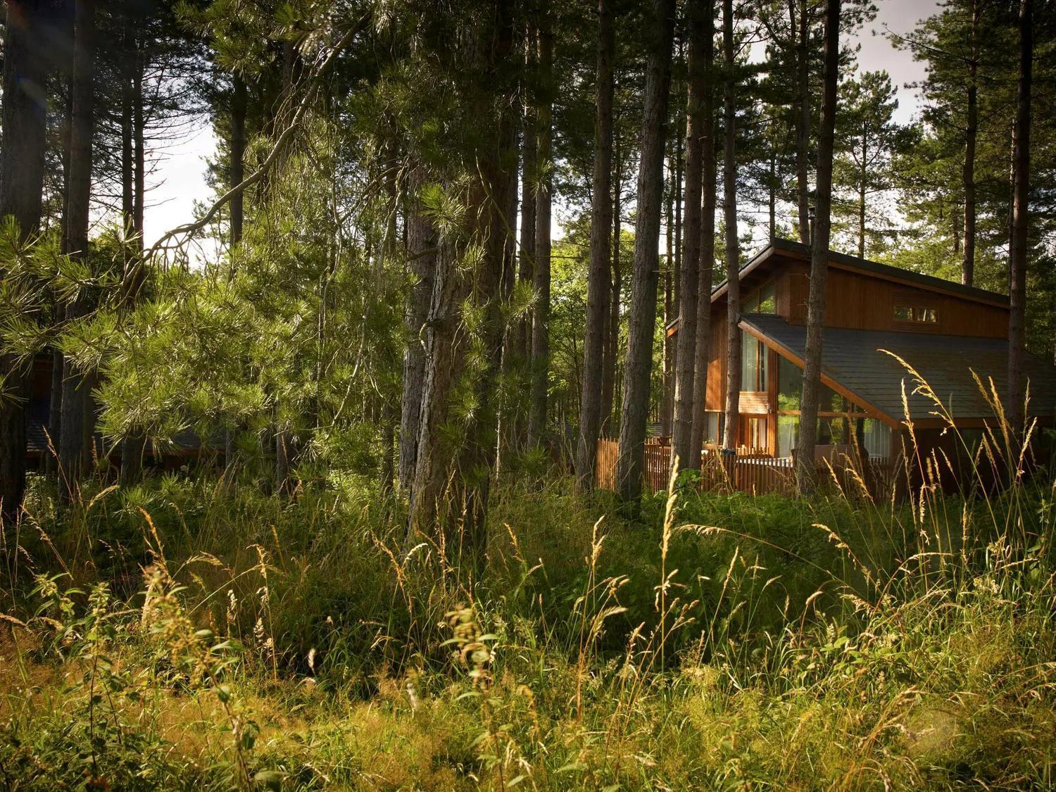 Blackwood Forest Cabins - Forest Holidays Popham Exteriör bild