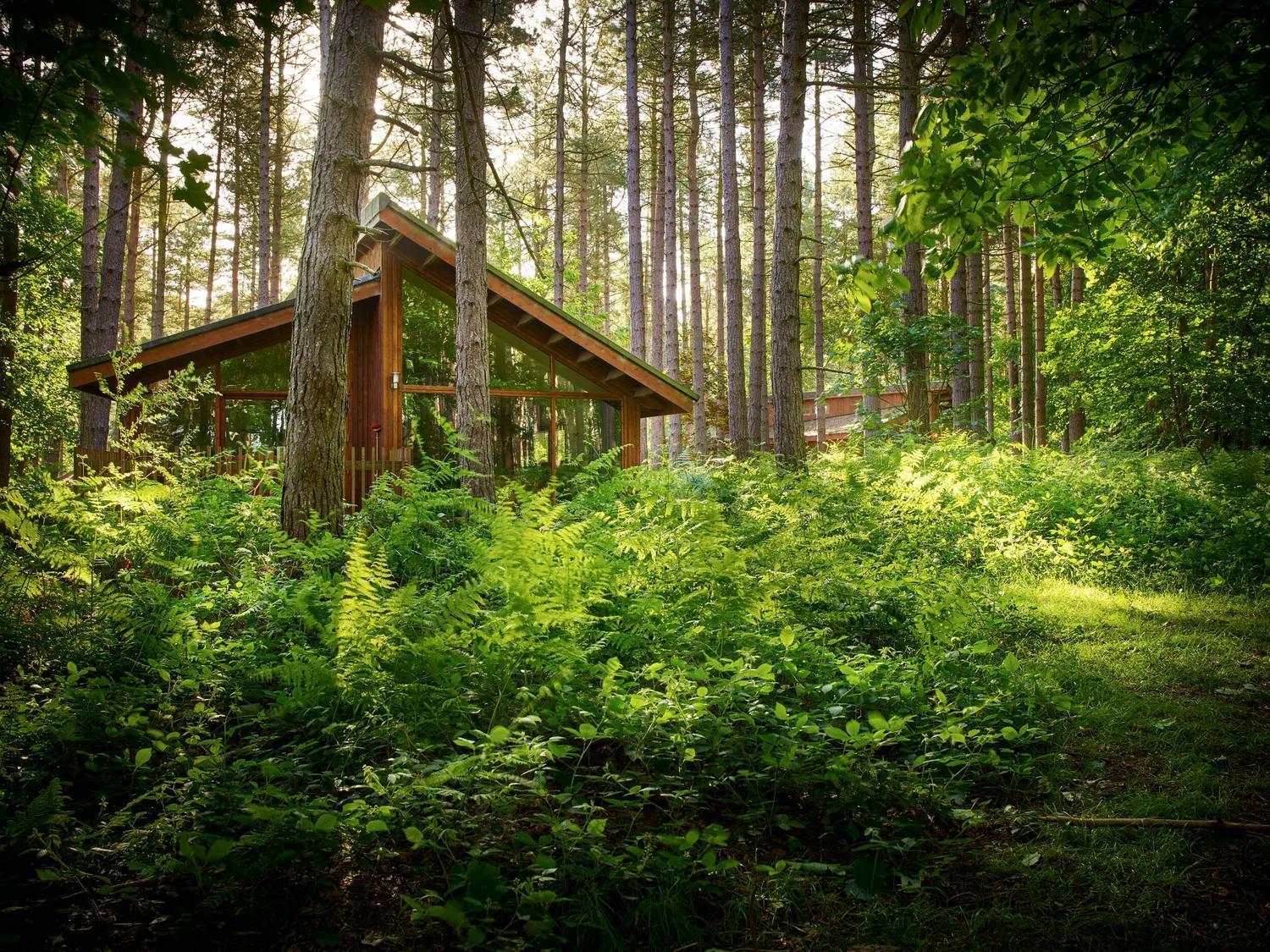 Blackwood Forest Cabins - Forest Holidays Popham Exteriör bild
