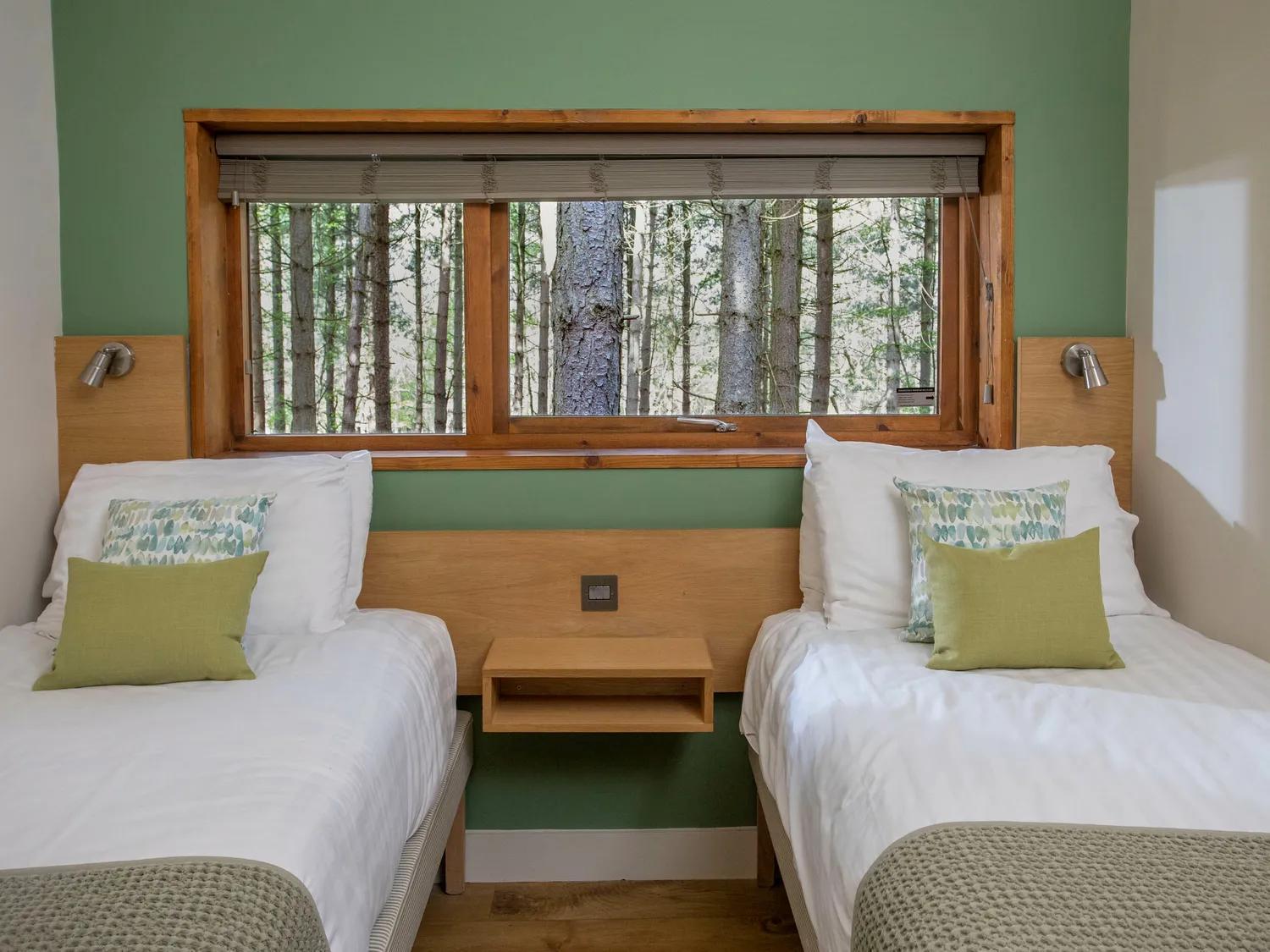 Blackwood Forest Cabins - Forest Holidays Popham Exteriör bild