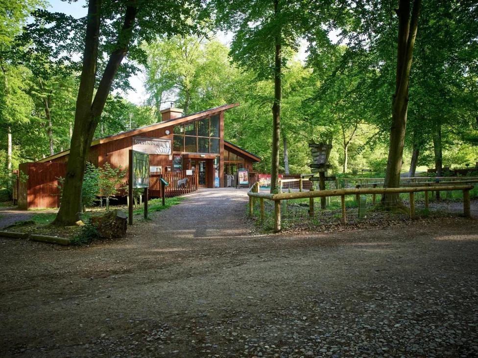 Blackwood Forest Cabins - Forest Holidays Popham Exteriör bild