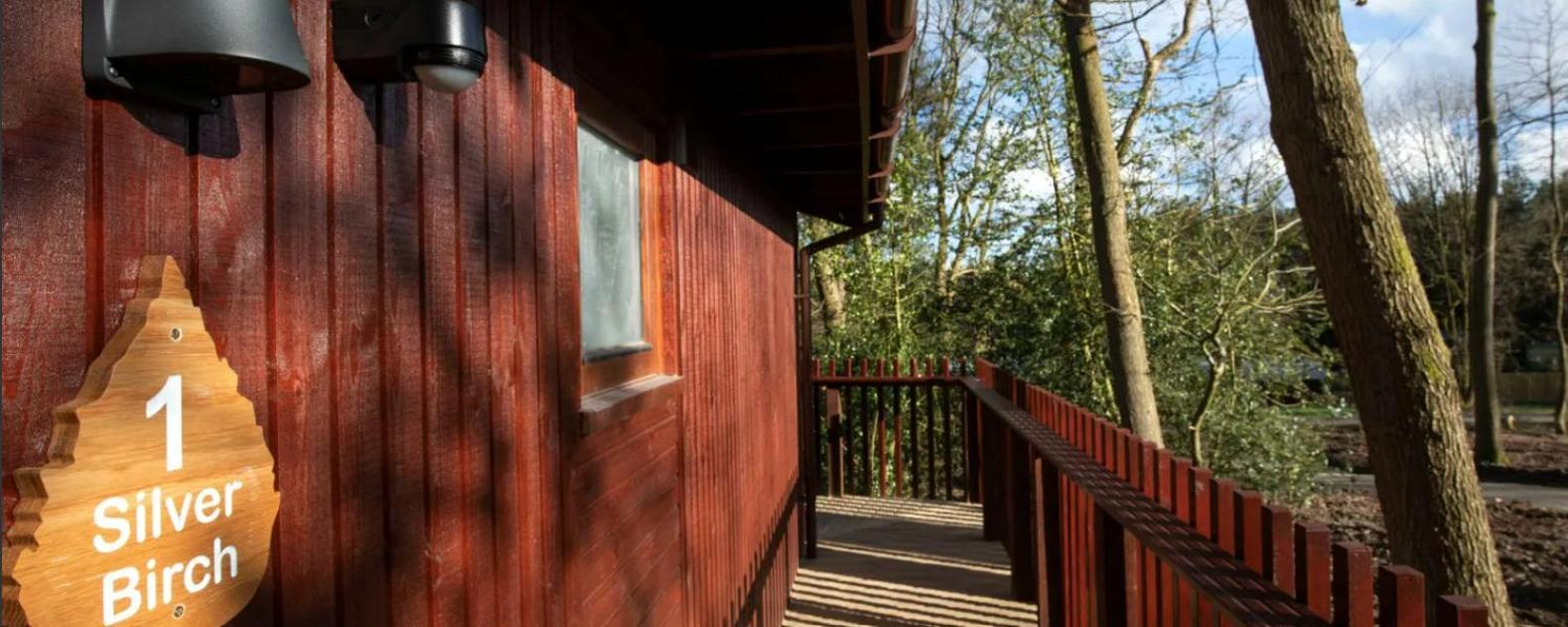 Blackwood Forest Cabins - Forest Holidays Popham Exteriör bild